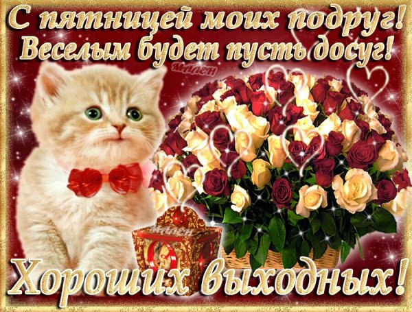 fPaydvtG3us