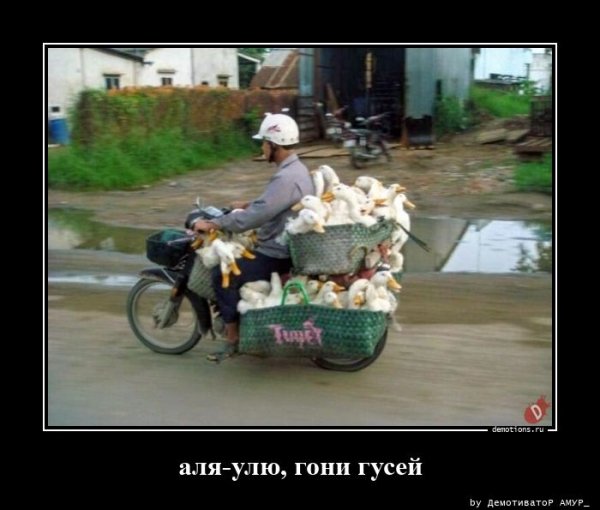 УТКОВОЗ