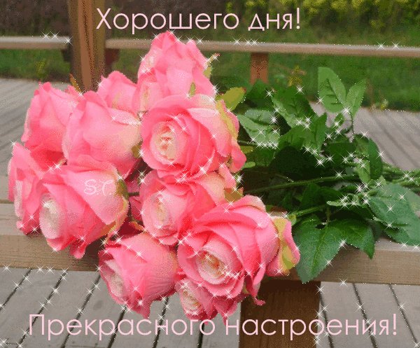 file_71159471