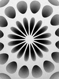 abstractde jsoyhjin