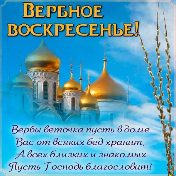 IMG-20250413-WA0022