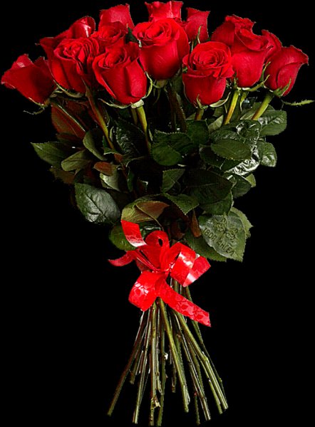 file_76415704