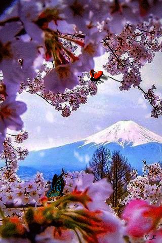file_67942862