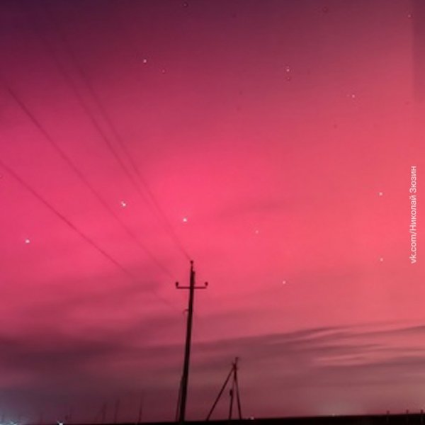 file_94997386