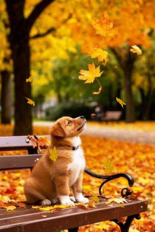 file_101043485