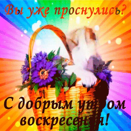 file_96274256