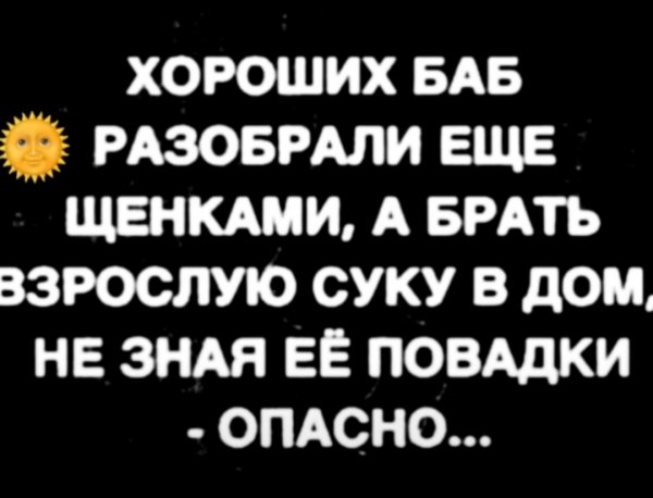 5KTZdwgdSlw-