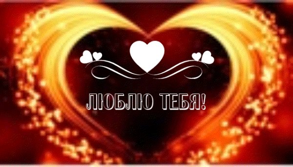 GIF be78f65f-23fd-410f-99d7-0e2c6033eee7