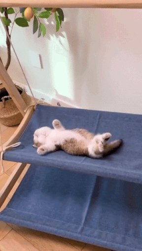 Котогамак