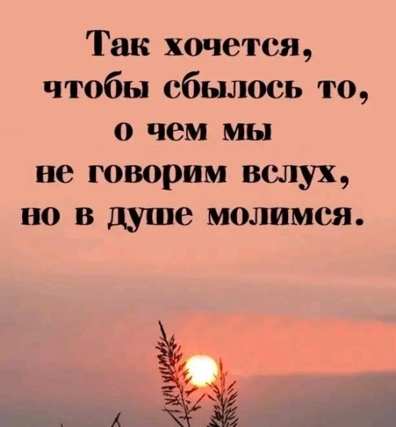 file_95952609
