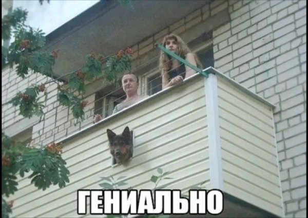 file_103378074