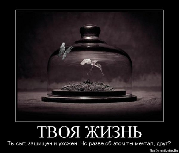 Твоя жизнь