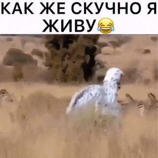 ))