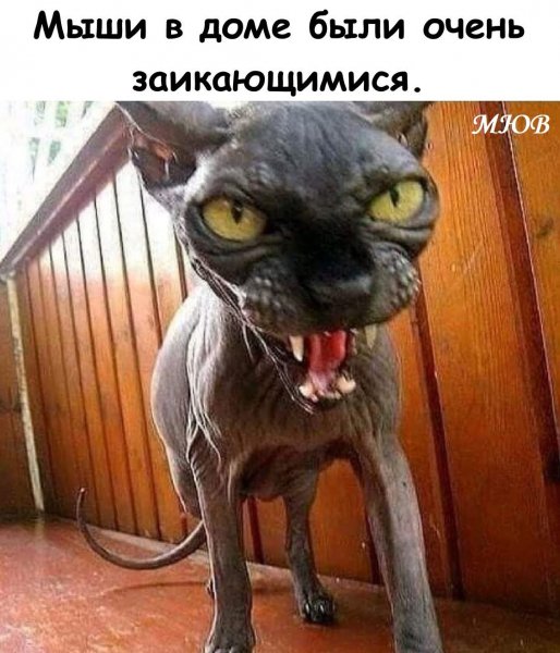 FB IMG 1775992912898