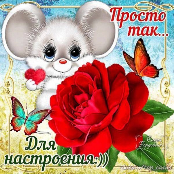 IMG 20240331 080955 159