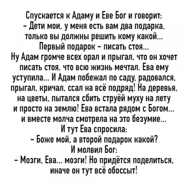 Image- (1)