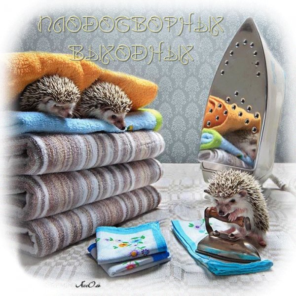 Забавные ёжики-ПЛОДОТВОРНЫХ ВЫХОДНЫХ!