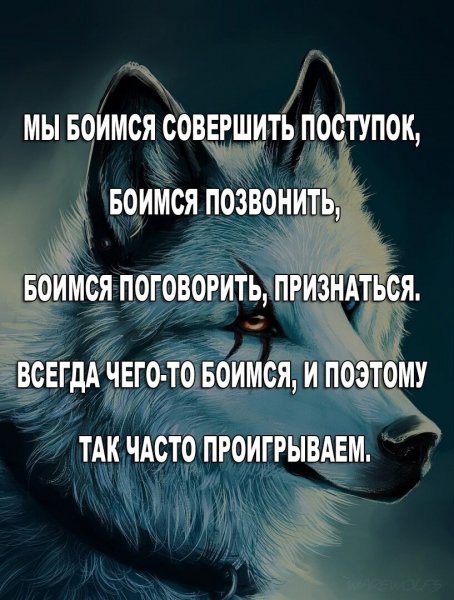 IMG 20260629 164302