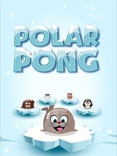 polar pong