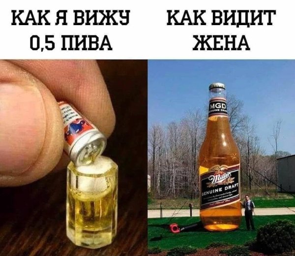 IMG 20250319 010439 147