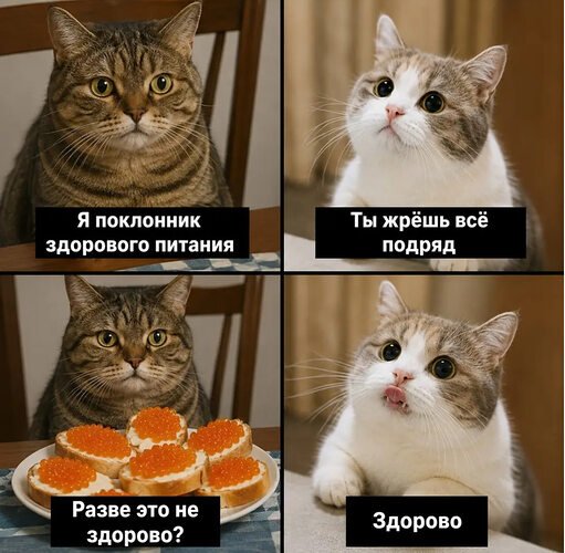 x500
