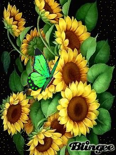 file_60986492