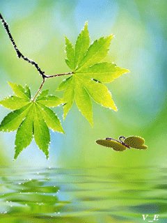 file_62318102