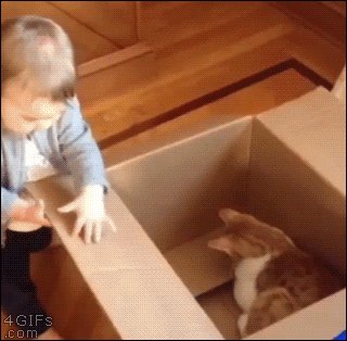 gifs 14