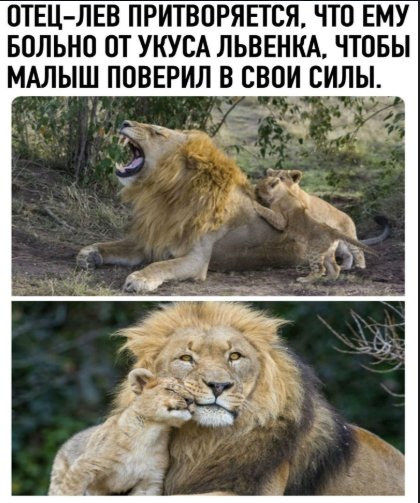 file_82189657