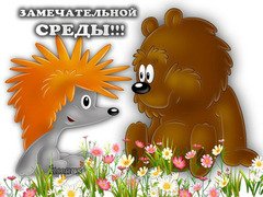 Замечательной среды