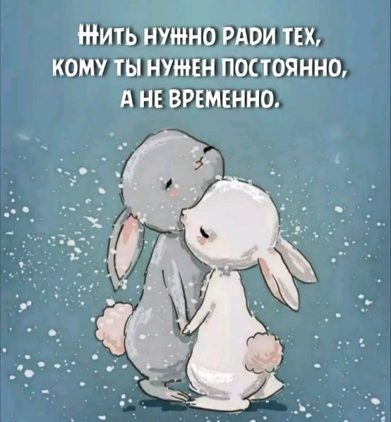 file_96386655
