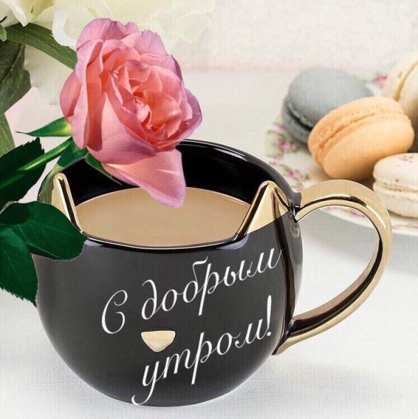 aBVcgDZzDTw