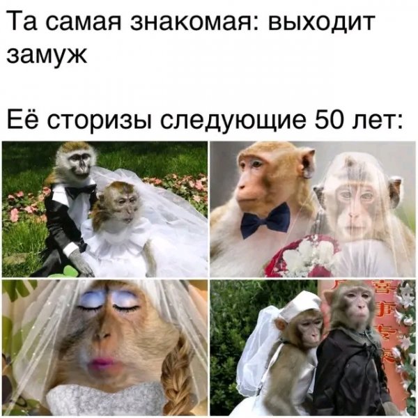 file_103322892