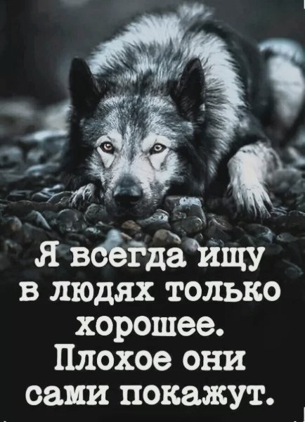 file_99841640