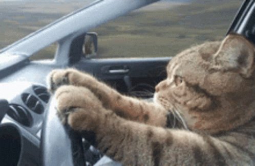 Нас не догоняттт ))))