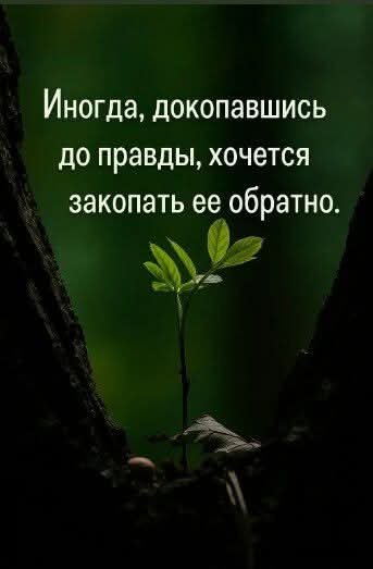 FB IMG 1771757012944