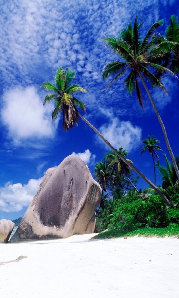 nature-----------wallpaper-10733354