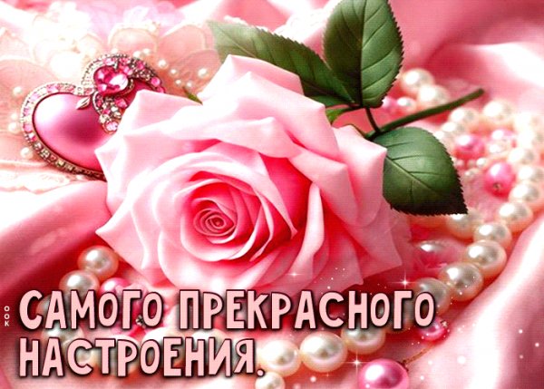 file_99049455