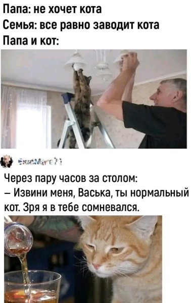 file_103303744
