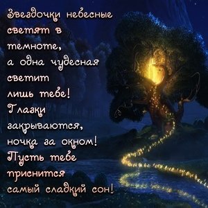 IMG 20181119 160219