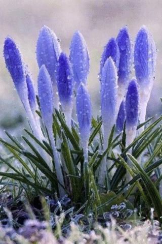 file_95526429