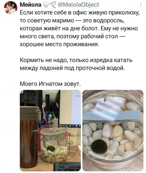 IMG 20260818 135459 220