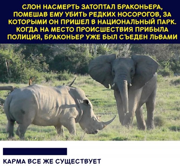IMG 20260309 220702