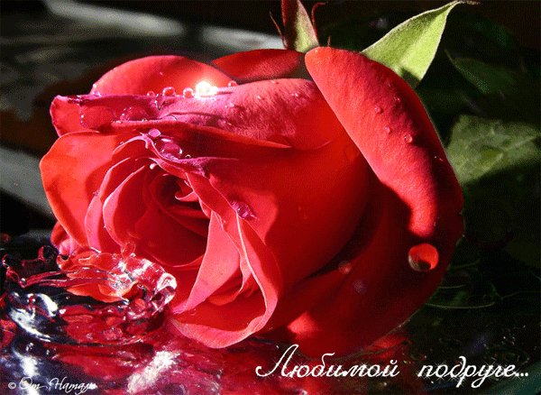 file_46997791
