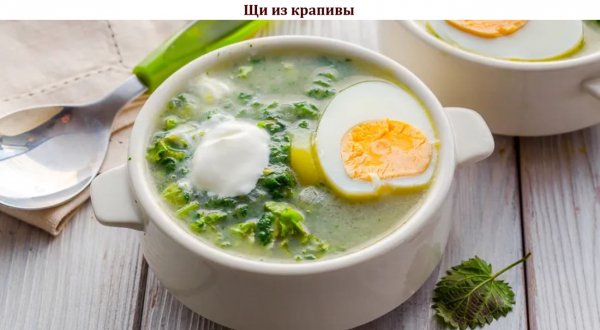 Щи из крапивы