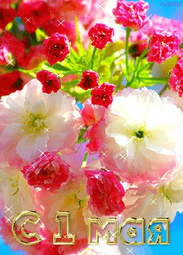 file_46931907