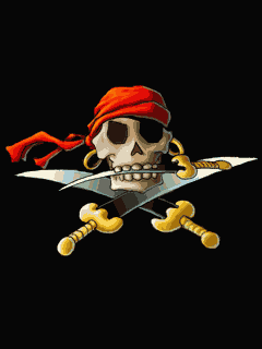 Skull 240х320 13