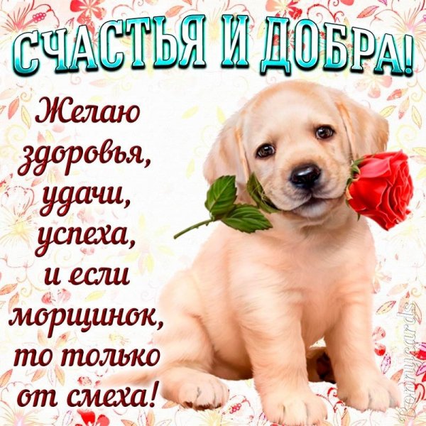 IMG 20240606 161047 854