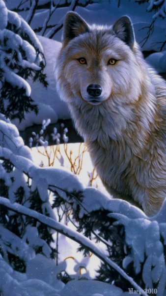 file_50769247
