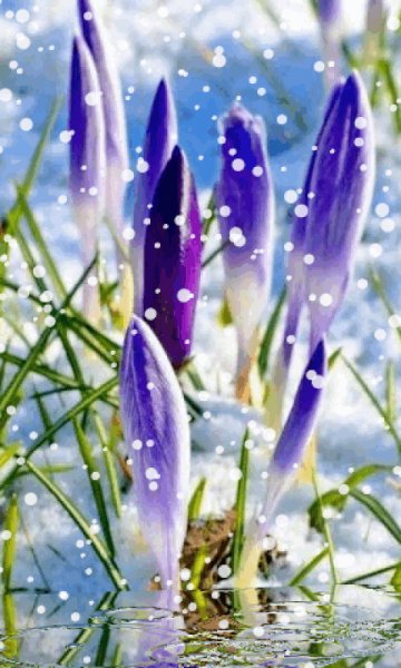 file_99125733